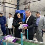 تحولات مثبت در مروارید هامون؛ از سرمایه‌گذاری تا بازگشت به سوددهی