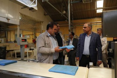 بازدید مدیران وزارت صمت از شرکت مارگارین